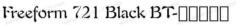 Freeform 721 Black BT字体转换